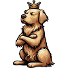 Golden Retriever Goldie Goldieowner Goldies