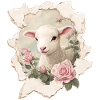 Lamb