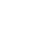 Mapusaurus Skull Fossil