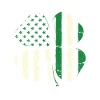 US American Shamrock Flag St Patrick's
