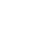 Boxer Legend