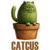Catcus – Prickly Cat Cactus Love