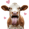 Cow Love – Sweet Cow with Heart