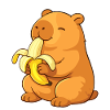 Smiling capybara eating banana