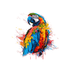 Farbexplosion Papagei Illustration