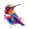 Bunter Kolibri Aquarell Spritzer