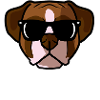 Hey Paws Up Boxer Dog Sunglasses Funny