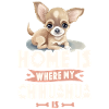 Chihuahua Chihuahueño Home Is