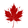 Red Maple Leaf Fragmented
