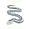 Slither Fashion Always On | Snake Mindset