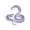 Dangerously elegant | Snake Attitude