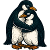 Penguin couple cuddle time