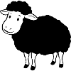 Mouton noir