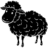 black sheep