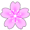 Pink flower with neon rays