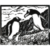 alpha beast penguins