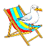 Seemöwe auf buntem Strandstuhl