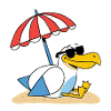 Sunny Beach Seagull with Umbrella