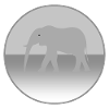 Éléphant