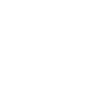 Pas de drame Lama