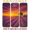 Lavender Provence