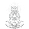Imbolc Owl with Triskele and Snowdrops