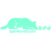 SHS logo aquamarine