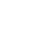 Ankylosaurus Fossil Skull