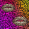 Leopard Lips on Neon Gradient
