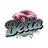 Betta Fisch - Kampffisch
