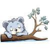 Kuschelbär am Ast