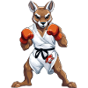 Kangaroo Karate Fighter