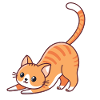 Orange kitten stretching