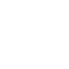 Pachycephalosaurus Fossil Skull