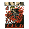 Burning Wall Skater Skeleton