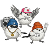 Bird Crew Street Vibe