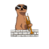 Can't hear you trumpet player