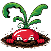 Curious radish from the earth