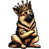 Deutscher Schäferhund Schäferhunde Schäferhunde