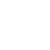 South American lizard