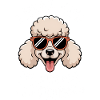 Poodle Sayings Dogs Funny Poodle Gift