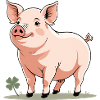 Cuddly Spring Pig Cartoon
