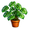 Monstera leaf art in terracotta pot