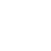 Irresponsibility Shirt Statement
