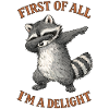 Raccoon, Funny Raccoon