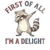 Raccoon, Funny Raccoon