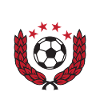 Denmark Football