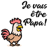 Chickens Daddy Chickens