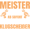 Vehicle Mechatronics Technician Master 2026