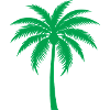Palm tree